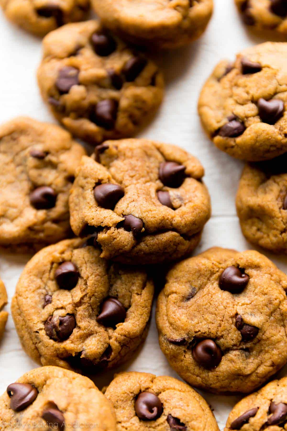 pumpkin chocolate chip cookies