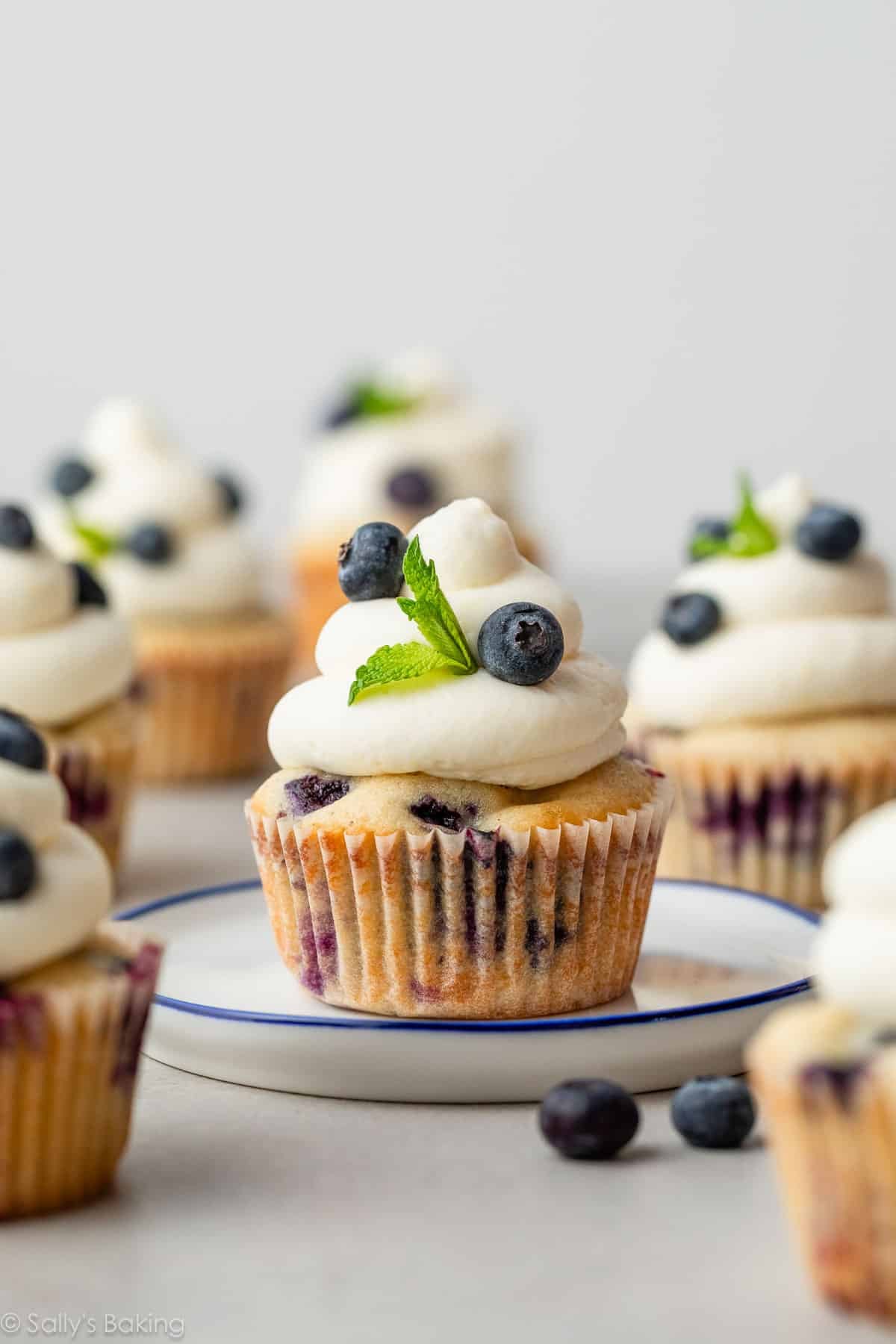 blueberry cupcakes with whipped cream cheese frosting on top with fresh mint.