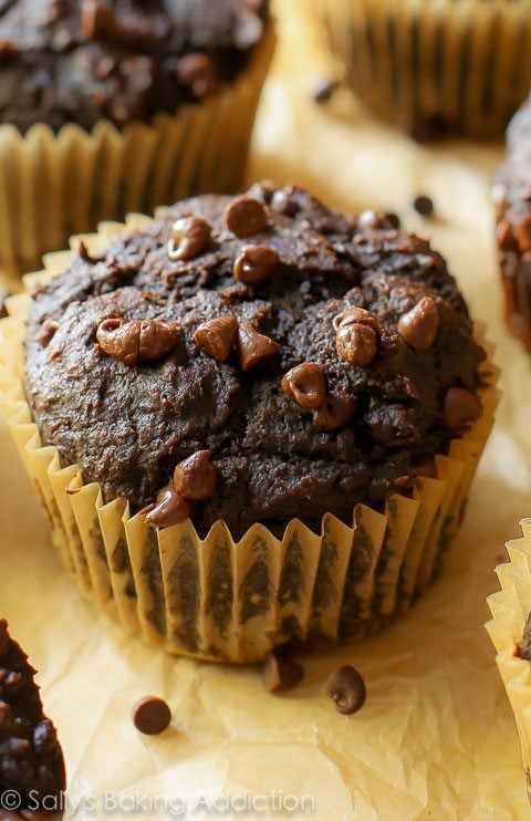 chocolate pumpkin spice muffins