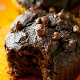 chocolate pumpkin spice muffins