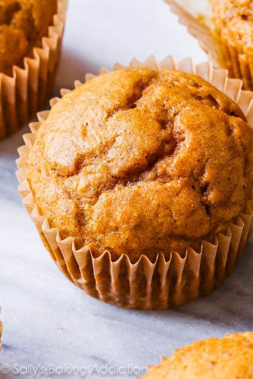 pumpkin cupcake without frosting