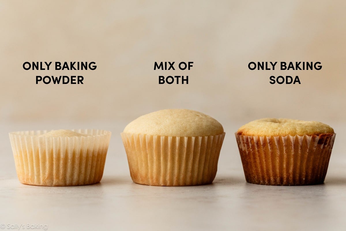 comparison photo of 3 vanilla cupcakes made with different leaveners.