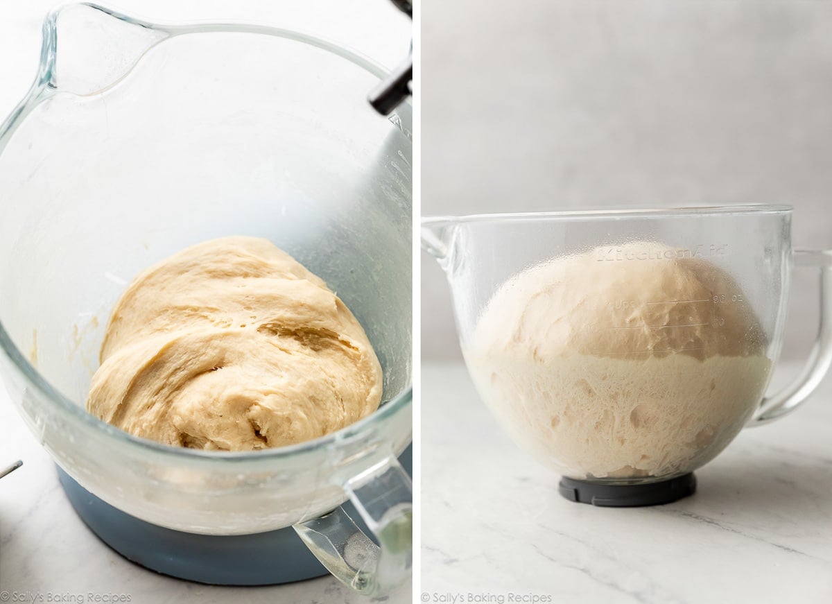 dough after kneading and shown again after rising.