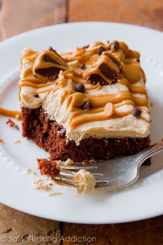slice of chocolate sheet cake topped with peanut butter frosting, drizzle of melted peanut butter, and peanut butter cups on a white plate with a fork