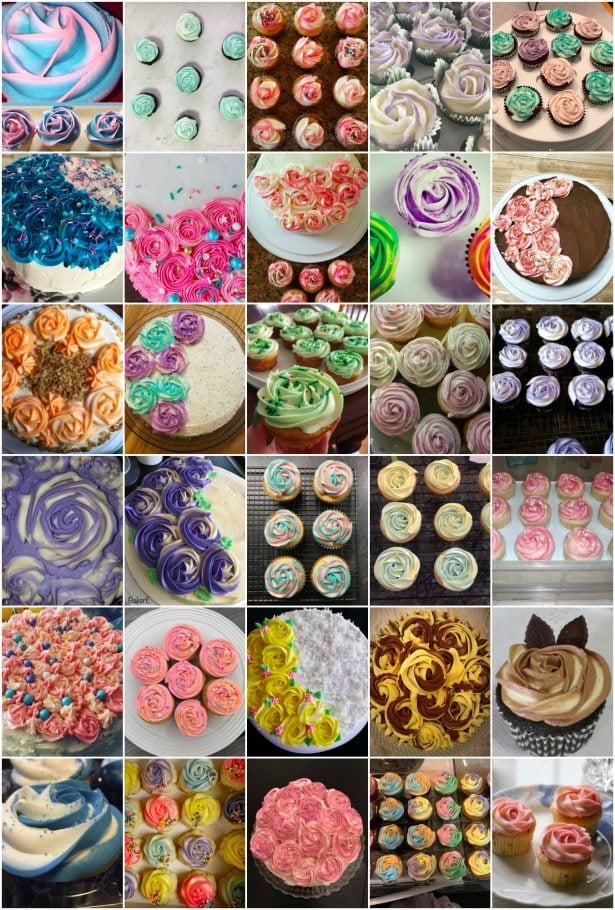 collage of two toned frosting rose images