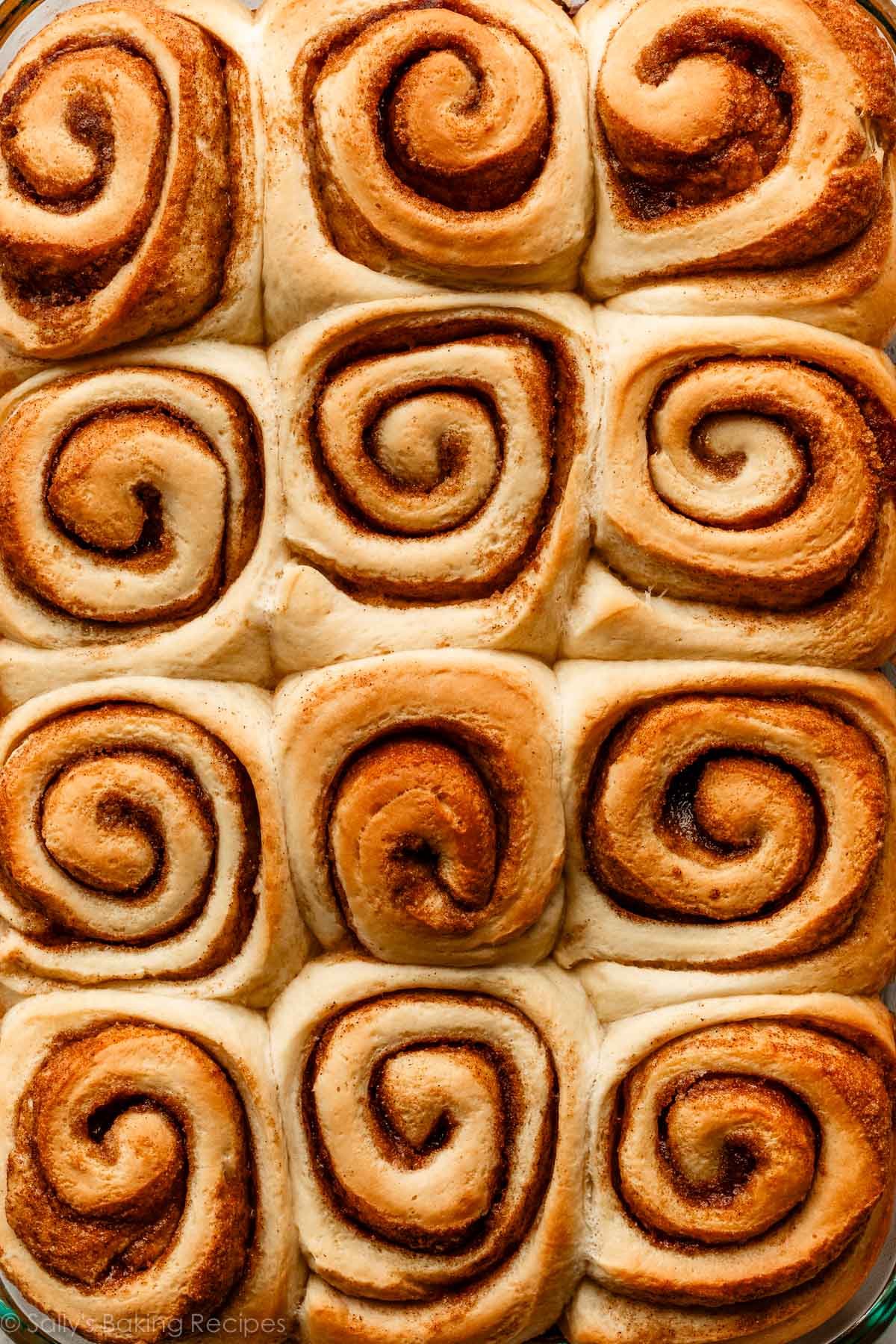 close-up of baked cinnamon rolls without a topping.
