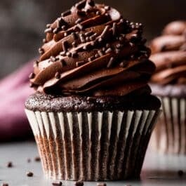 chocolate cupcake with chocolate buttercream and chocolate sprinkles