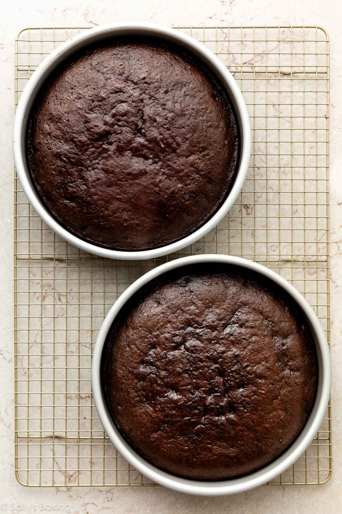 chocolate cakes in round cake pans on gold cooling rack.