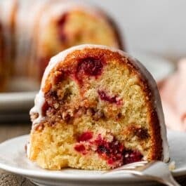 cranberry orange Bundt cake slice on white plate.