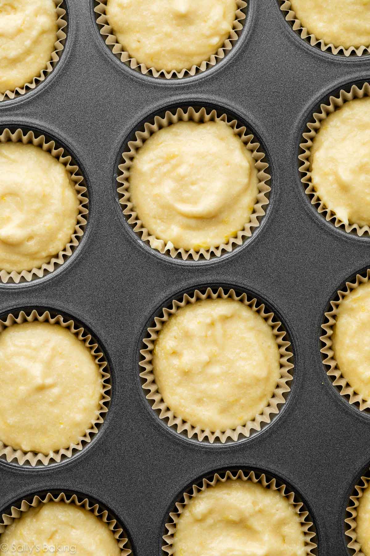 batter in muffin pan.