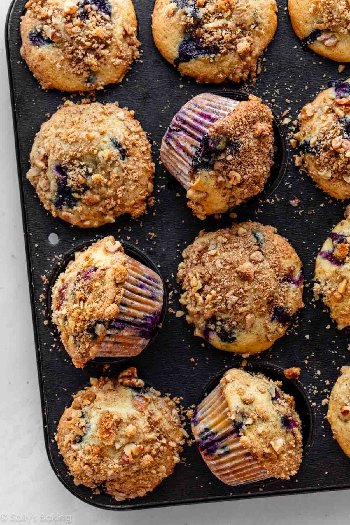 blueberry muffins in muffin pan.