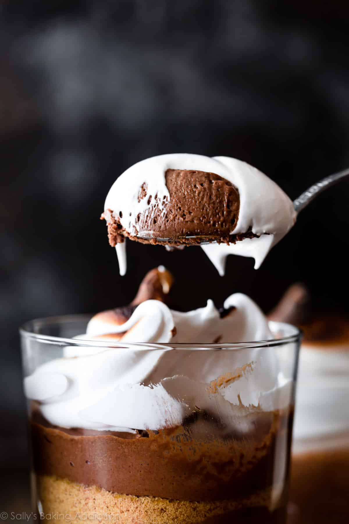 a spoonful of s'mores chocolate mousse