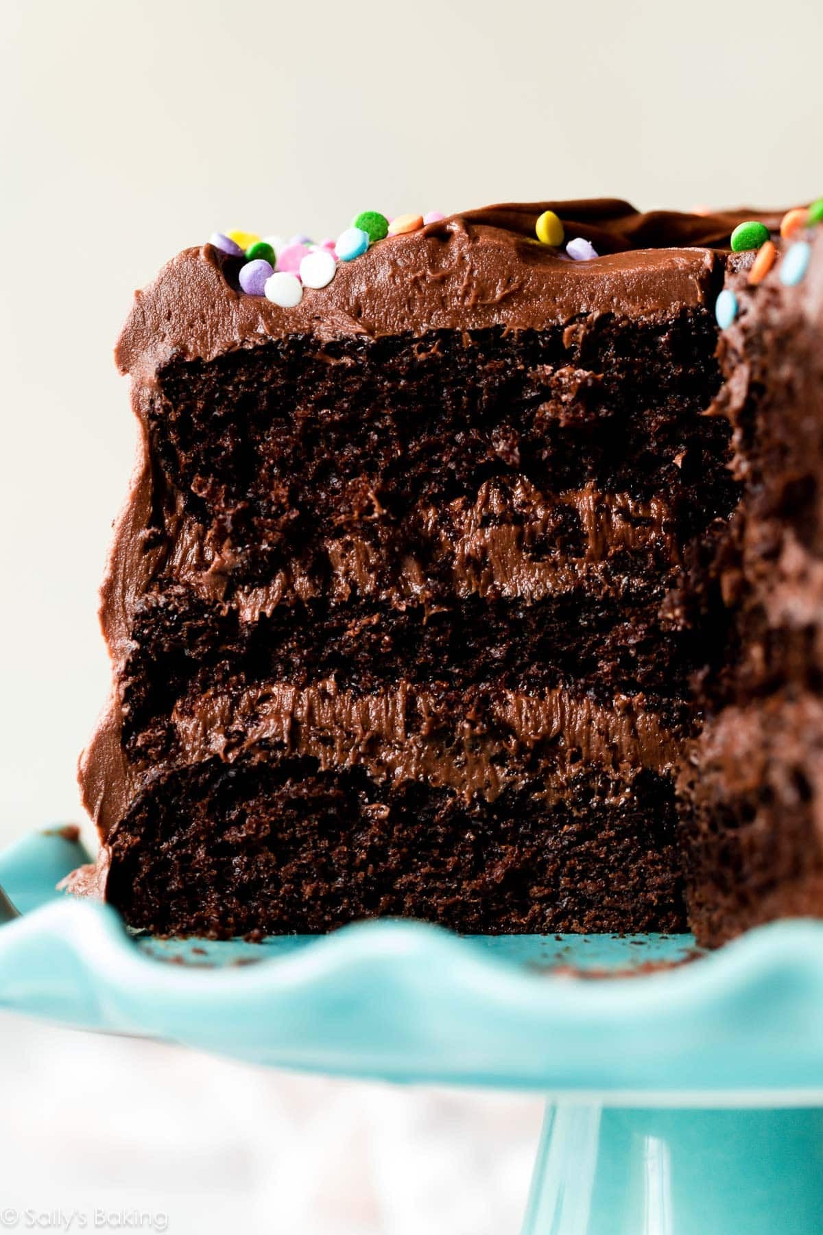 3 layer chocolate cake with sprinkles on top.