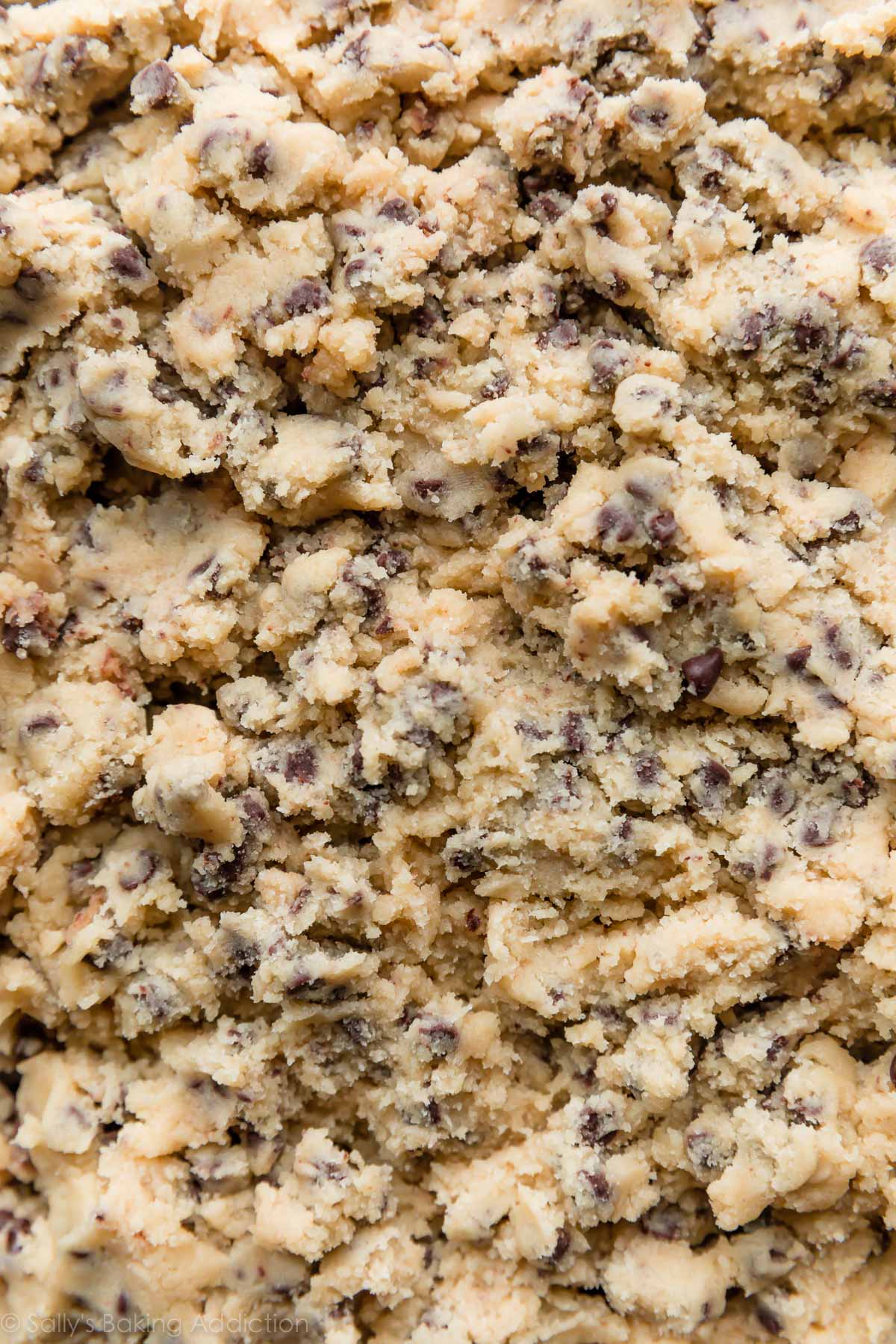 chocolate chip cookie dough