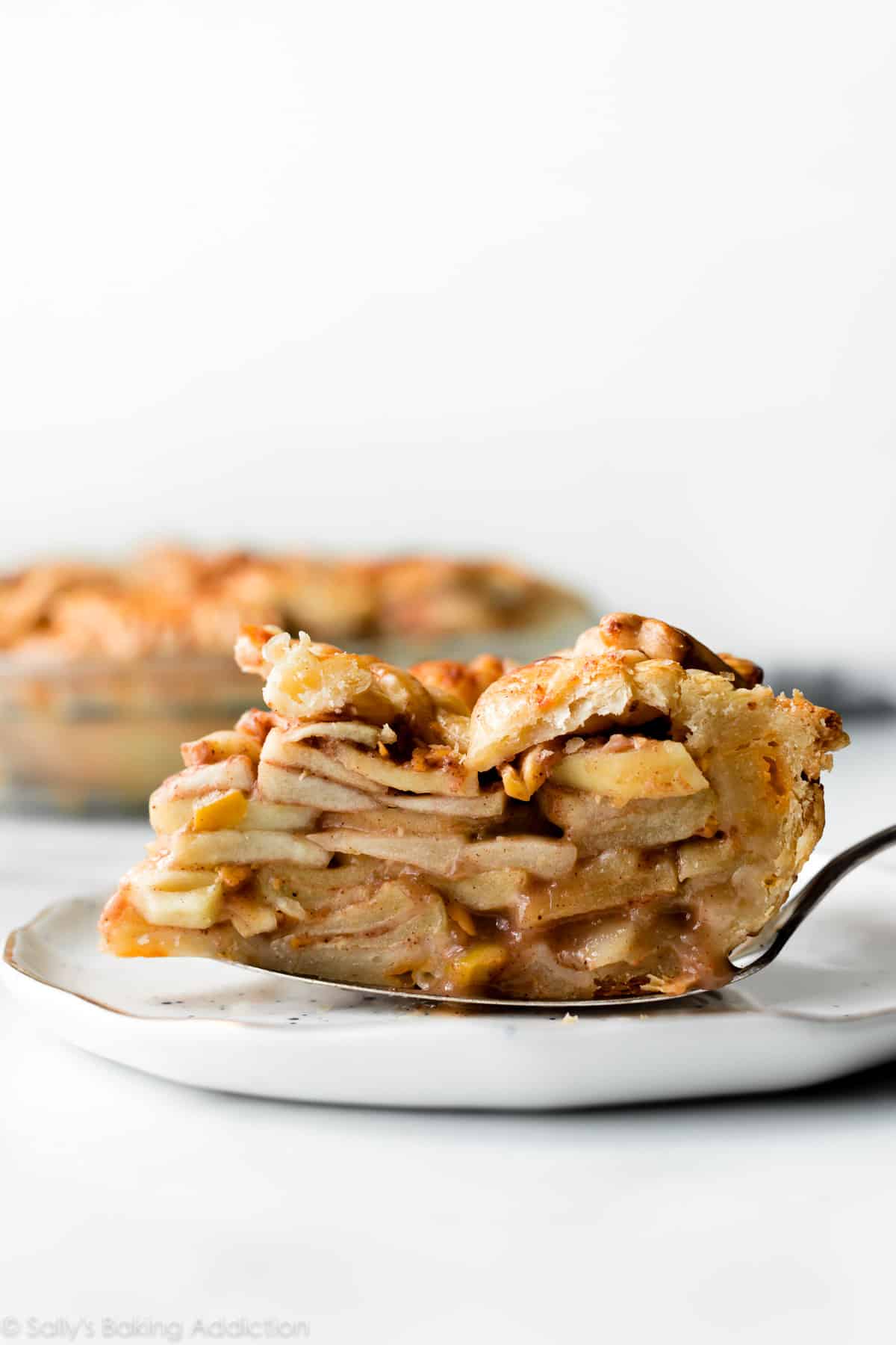 apple cheddar pie slice