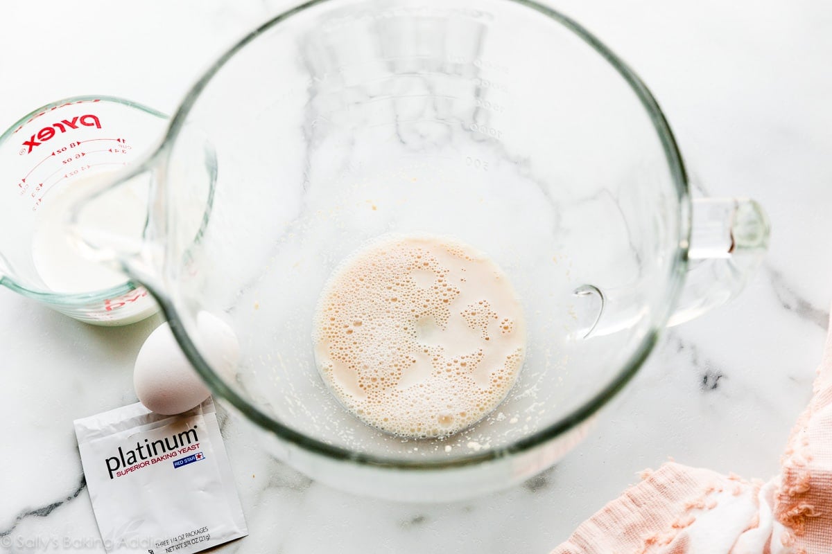 yeast mixture in glass bowl