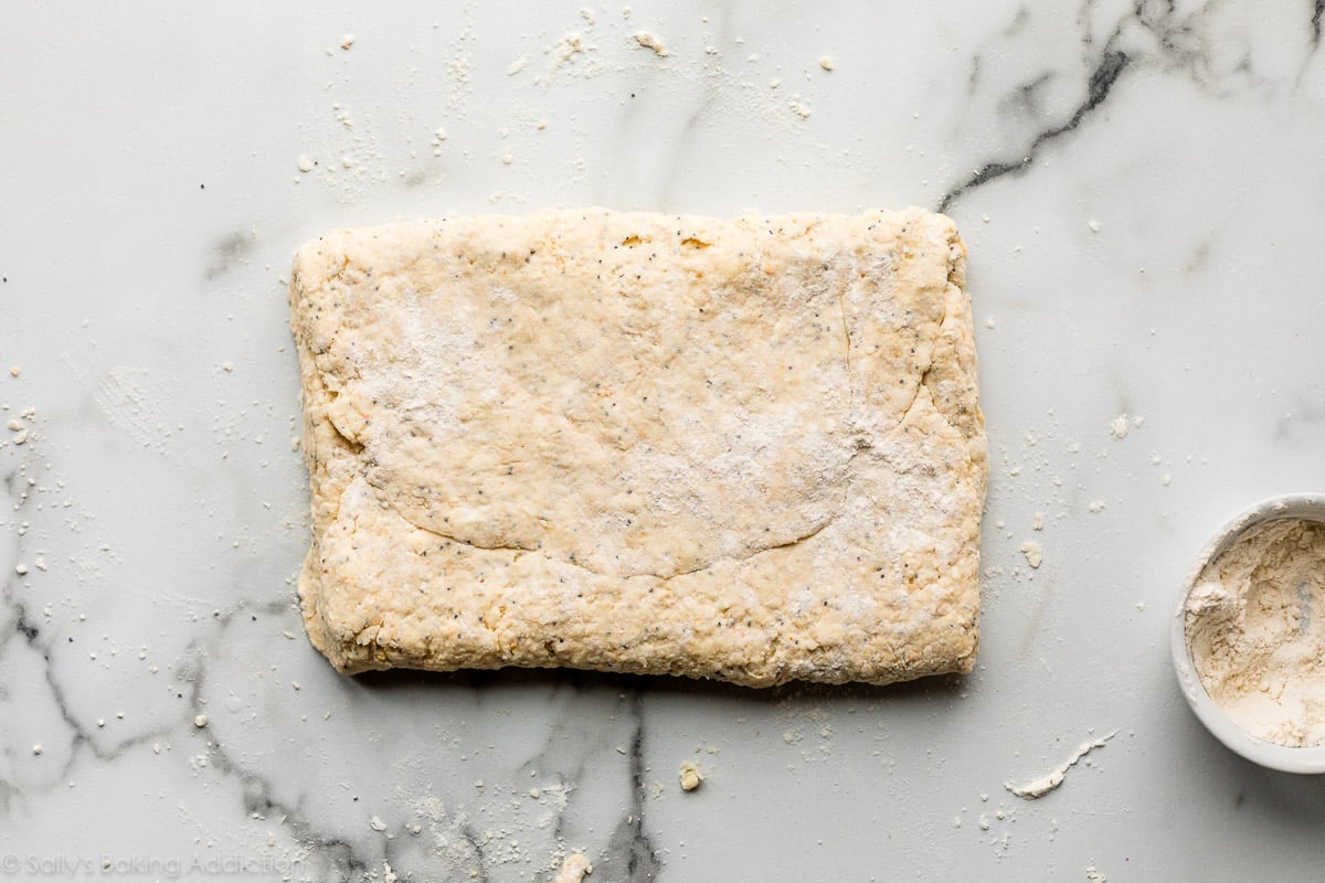 everything bagel seasoned biscuit dough