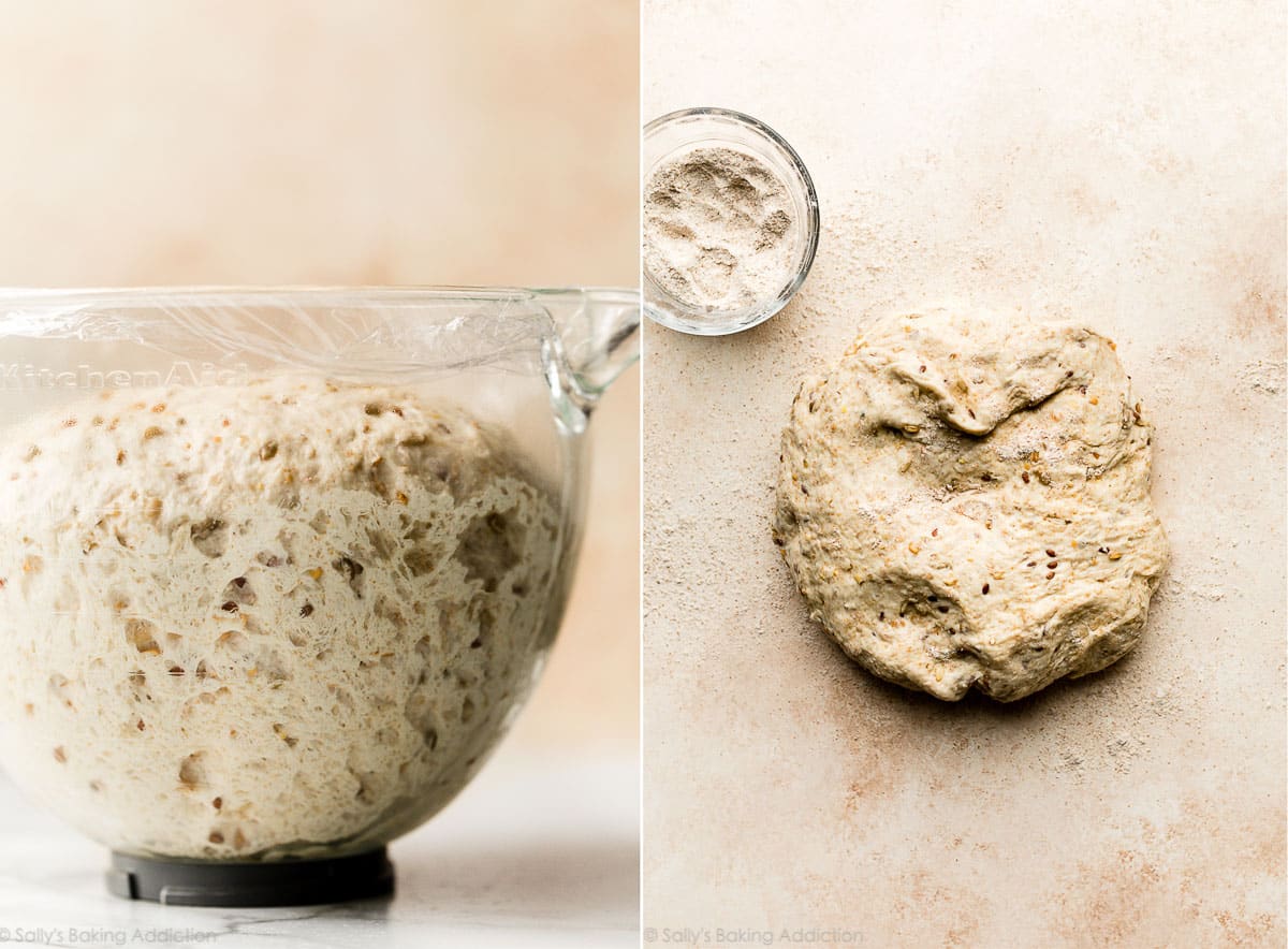homemade multigrain dough after 1st rise