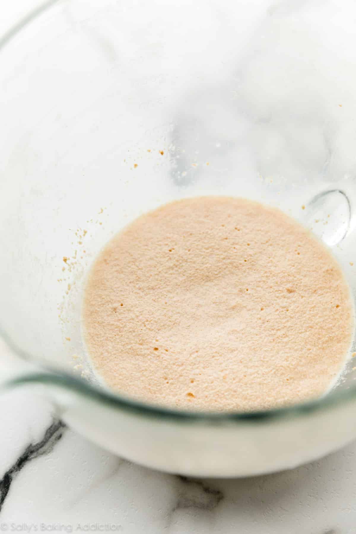 yeast milk and sugar mixture proofing in glass bowl