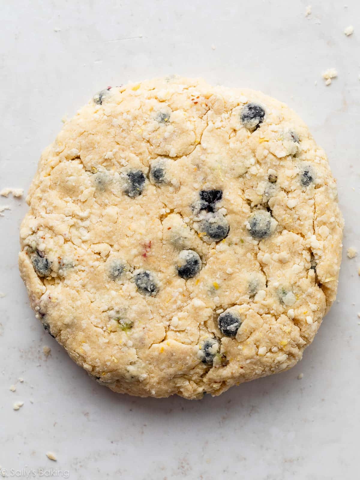 blueberry dough mixture shaped into a disc.