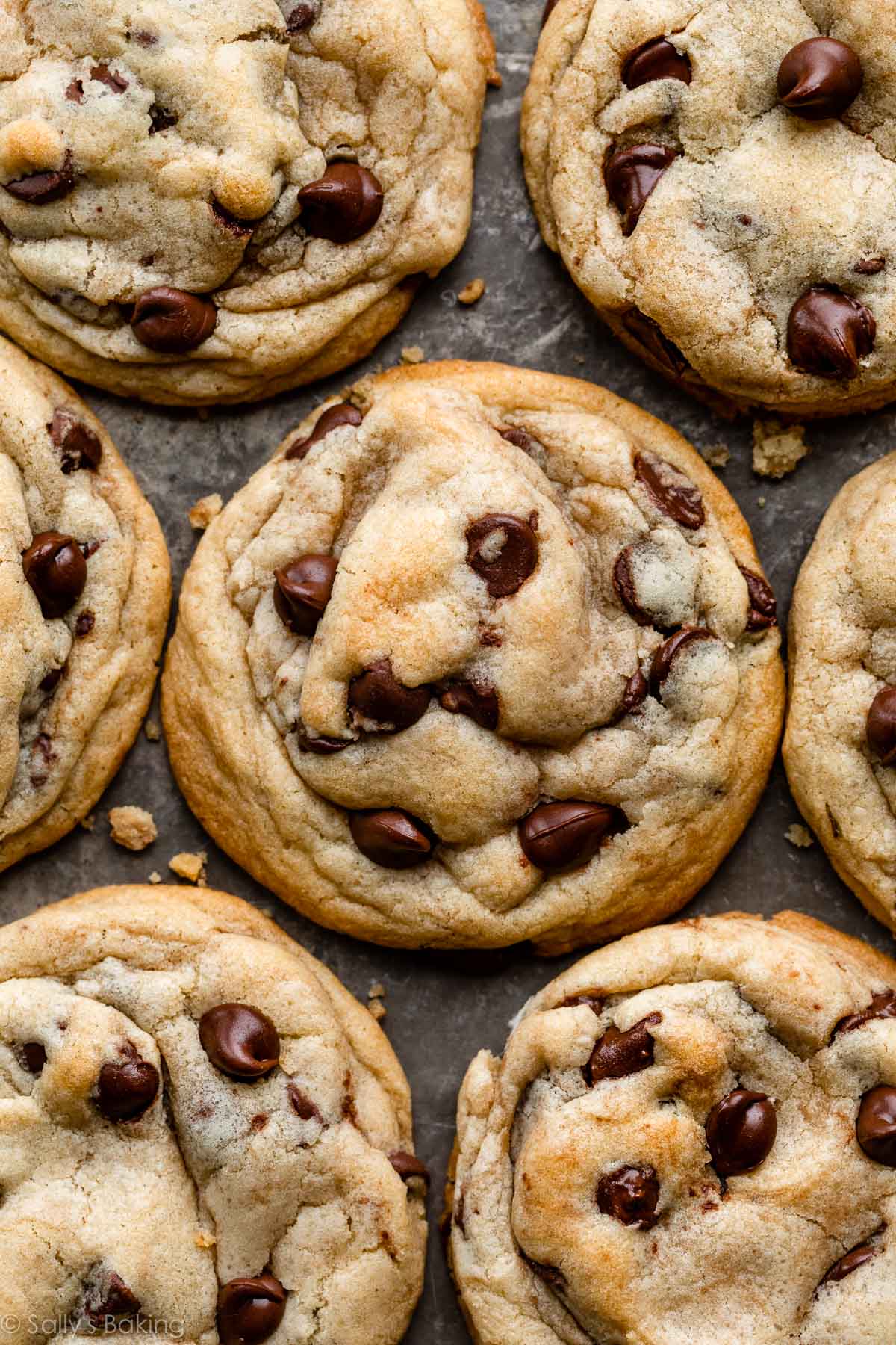 chocolate chip cookies.