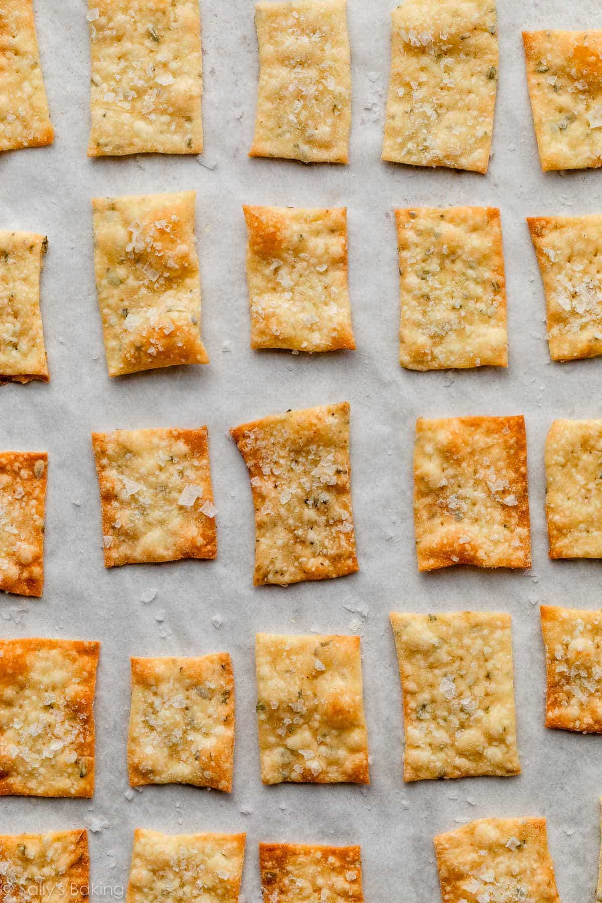 homemade sea salt crackers on parchment paper.