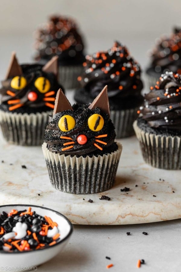 Halloween black cat cupcake.