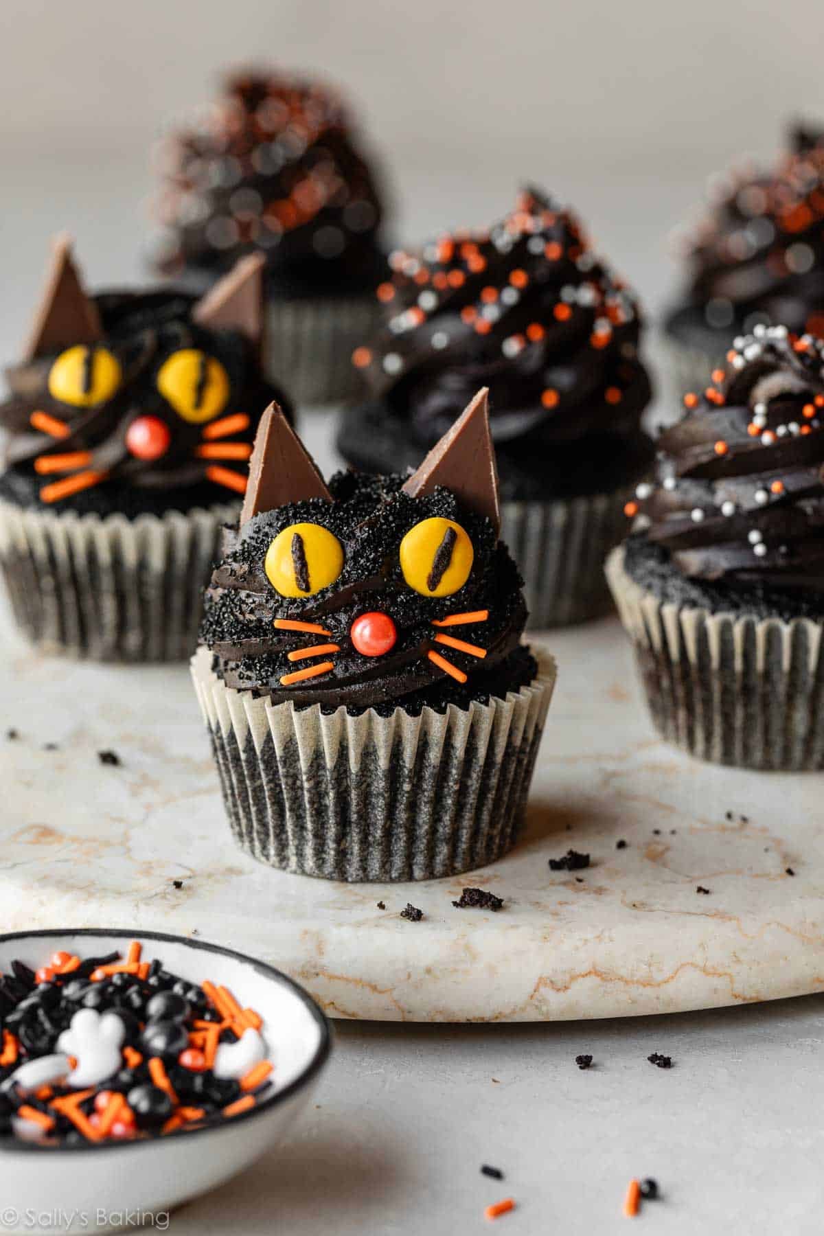 Halloween black cat cupcake.